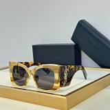 YSL Sunglasses AAA (555)
