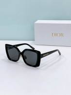 Dior Sunglasses AAA (829)