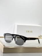 Dior Sunglasses AAA (673)