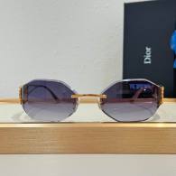 Dior Sunglasses AAA (1123)