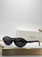 Dior Sunglasses AAA (1073)