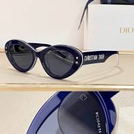 Dior Sunglasses AAA (1174)