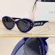 Dior Sunglasses AAA (1174)