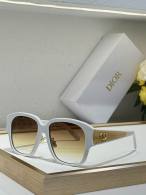 Dior Sunglasses AAA (894)