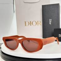 Dior Sunglasses AAA (420)