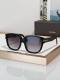 Tom Ford Sunglasses AAA (543)