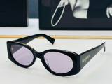 YSL Sunglasses AAA (321)