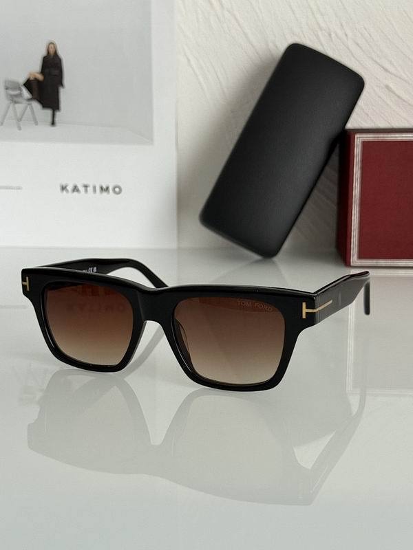 Tom Ford Sunglasses AAA (1173)