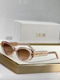 Dior Sunglasses AAA (31)