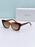 Dior Sunglasses AAA (836)