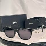 Dior Sunglasses AAA (876)