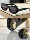 YSL Sunglasses AAA (207)
