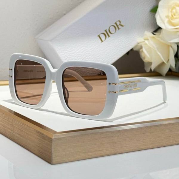Dior Sunglasses AAA (66)