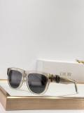 Dior Sunglasses AAA (1096)