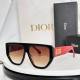 Dior Sunglasses AAA (542)