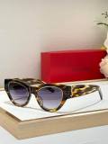 YSL Sunglasses AAA (174)