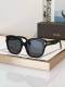 Tom Ford Sunglasses AAA (555)
