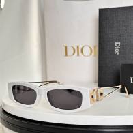 Dior Sunglasses AAA (803)