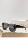 Dior Sunglasses AAA (1094)