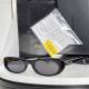 YSL Sunglasses AAA (122)