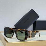 YSL Sunglasses AAA (343)