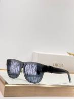 Dior Sunglasses AAA (1097)
