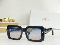 Dior Sunglasses AAA (793)
