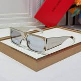 YSL Sunglasses AAA (233)