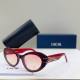 Dior Sunglasses AAA (988)