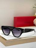 YSL Sunglasses AAA (176)