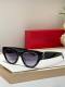 YSL Sunglasses AAA (176)