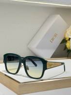 Dior Sunglasses AAA (895)