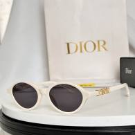 Dior Sunglasses AAA (1011)
