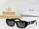 Dior Sunglasses AAA (371)