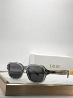 Dior Sunglasses AAA (1064)