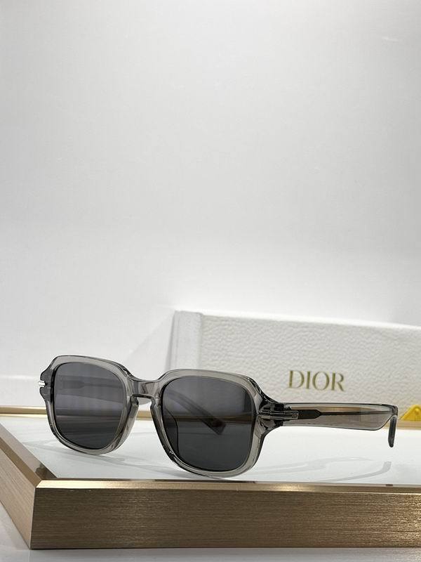 Dior Sunglasses AAA (1064)
