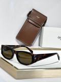 YSL Sunglasses AAA (61)