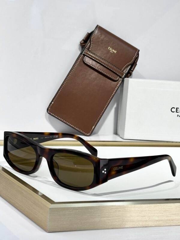 YSL Sunglasses AAA (61)