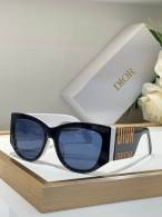 Dior Sunglasses AAA (201)