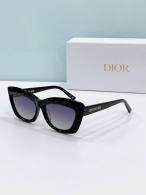 Dior Sunglasses AAA (833)