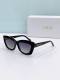 Dior Sunglasses AAA (833)