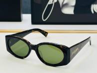 YSL Sunglasses AAA (325)