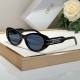 Dior Sunglasses AAA (55)