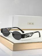 Dior Sunglasses AAA (123)