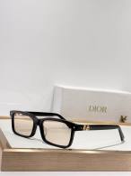 Dior Sunglasses AAA (1161)