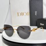 Dior Sunglasses AAA (503)