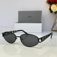 Dior Sunglasses AAA (74)