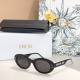 Dior Sunglasses AAA (486)