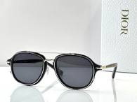 Dior Sunglasses AAA (26)
