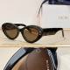 Dior Sunglasses AAA (1179)